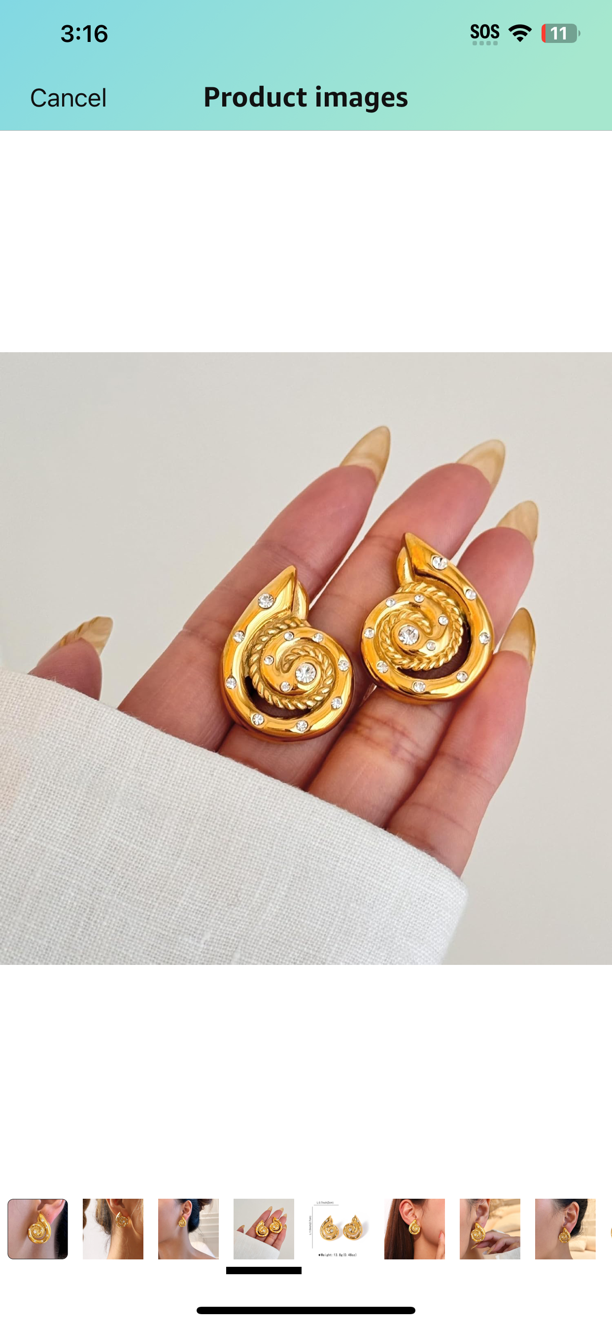 Crystal Shell Earrings