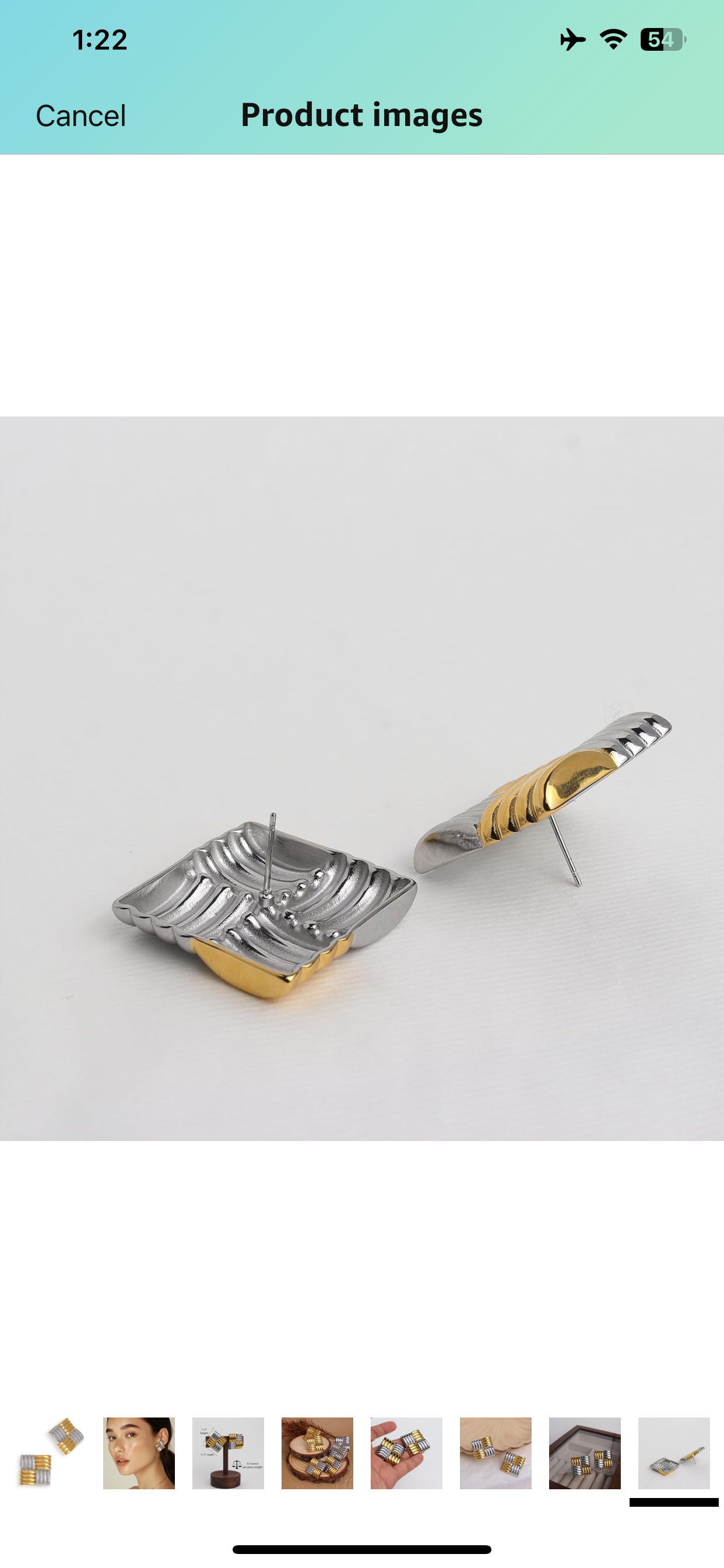 Olivia 2 tone Earrings